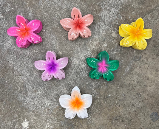 Hibiscus Clip